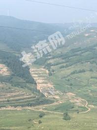 大同广灵县 10000亩 其它林地 经营权转让