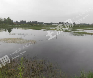 黄石大冶市 80亩 坑塘水面 经营权转让