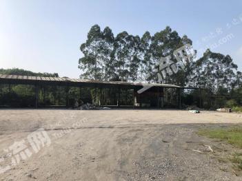 韶关曲江区12500平米工矿仓储-厂房使用权出租