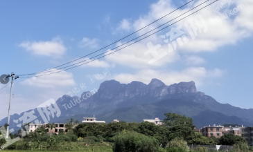 漳州云霄县 60亩 其它林地 经营权转让