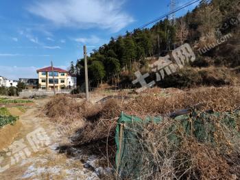 南昌湾里区6150平方米宅基地使用权出租