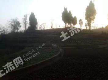 重庆大足区 700亩 荒地 使用权出租