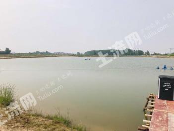 黄冈黄州区 400亩 坑塘水面 经营权转让