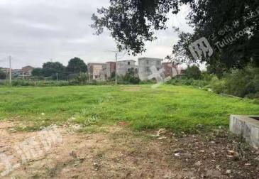 肇庆鼎湖区 3亩 空闲用地 出租