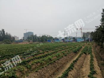 东兴市金滩61.7亩综合用地急使用权转让