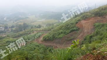 清远连南瑶族自治县 318亩 旱地 经营权转让