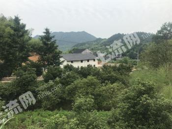 杭州乡村&ldquo;宅基地&rdquo;木结构房屋租赁