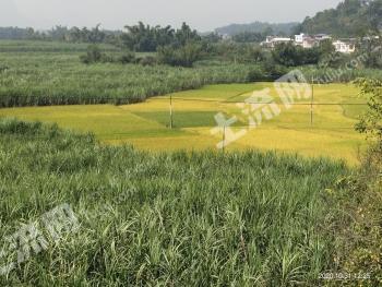柳州柳城县 1000平米 宅基地 使用权出租