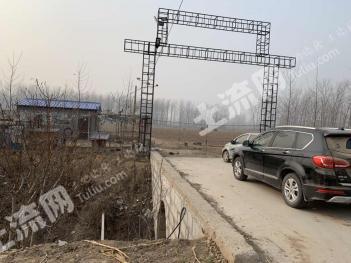 菏泽定陶区 53亩 水浇地 经营权出租