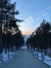 牡丹江阳明区 50000亩 有林地 经营权转让