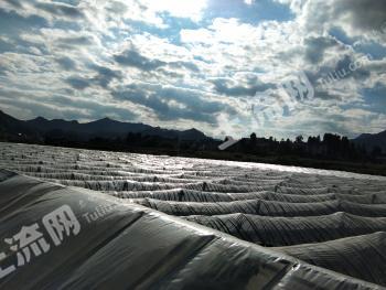 毕节金沙县 96亩 果园 经营权转让