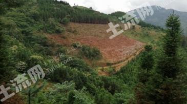 云南文山马关八寨镇 30亩 其它耕地 经营权出租