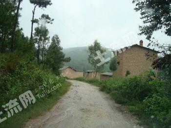 抚顺清原满族自治县 700亩 其它林地 经营权转让