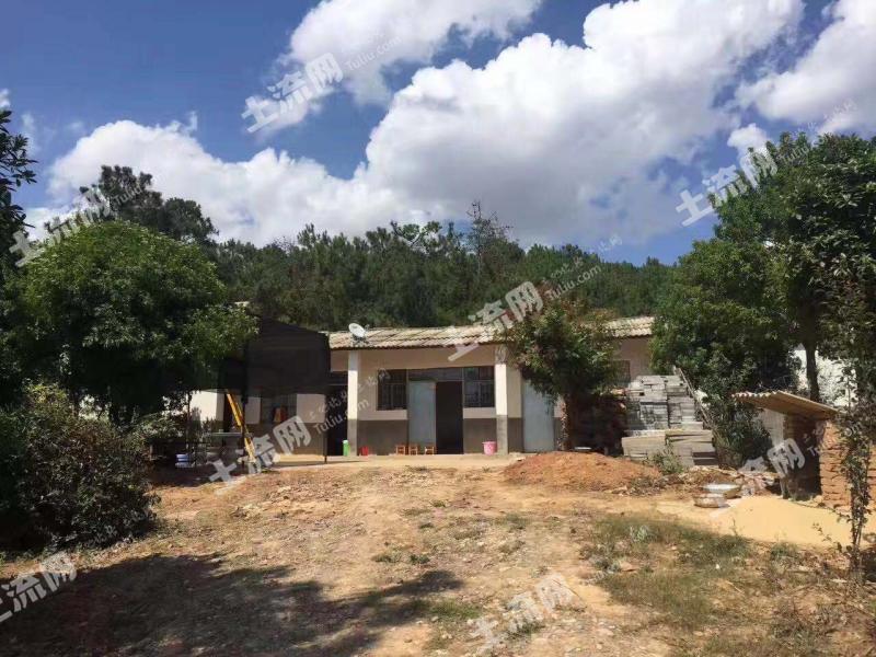 昆明宜良县匡远镇140有林地经营权流转