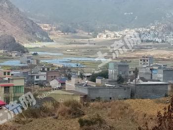 文山广南县黑支果乡牡宜村600亩水田经营权出租