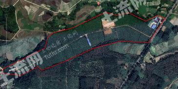 屯昌县坡心镇 310亩 其它园地 经营权转让