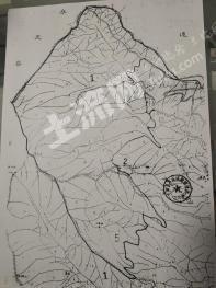 漳州平和县 6560亩 其它林地 经营权转让