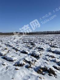 鹤岗萝北县225亩耕地-水田经营权合作