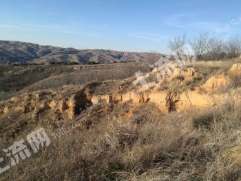 长治武乡县 4600亩 荒山 使用权出租