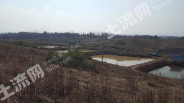 六安裕安区 105亩 综合养殖农场 有冷链保鲜库 经营权转让