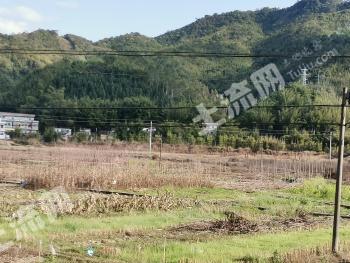 肇庆广宁县 约30亩 水田 经营权出租