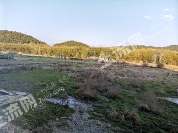 肇庆广宁县 20亩 水田 经营权转让