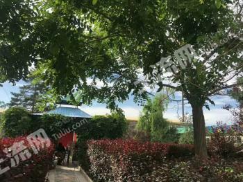 兰州永登县 4000平米 商业用地 使用权转让