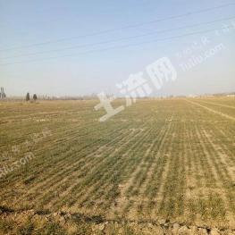 凉山西昌市 8650亩 水浇地 经营权出租