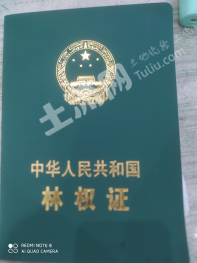 郴州资兴市 350亩 综合养殖用地 经营权出租