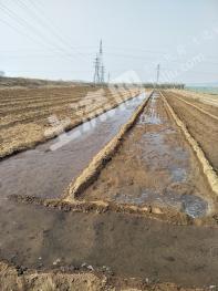 烟台龙口市 8亩 菜园 经营权转让