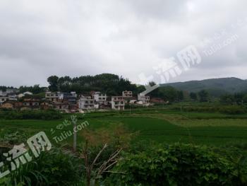 柳州柳城县20亩综合养殖用地经营权出租