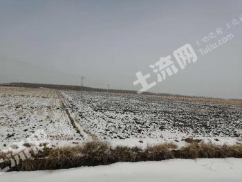 齐齐哈尔富裕县700亩耕地-水田经营权出租