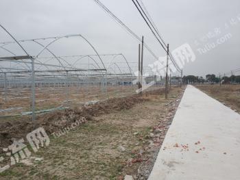 上海青浦区50亩水浇地经营权出租