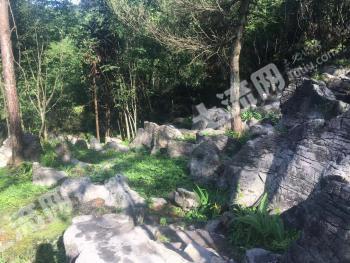 重庆奉节县 17亩 其它特殊用地 出租