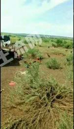 乌兰察布卓资县 9.8亩 综合养殖用地 经营权出租