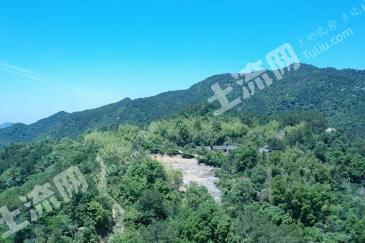 黄冈罗田县900亩有林地  经营权出租