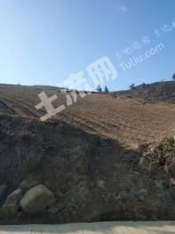 遵义余庆县 380亩 果园 经营权出租