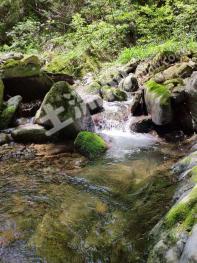 安康宁陕县 134673平米 城镇住宅 使用权出让