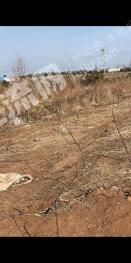 烟台福山区 18亩 荒地 使用权出租