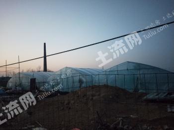 菏泽定陶区 13亩 果园 经营权转包