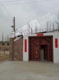 和田皮山县 800亩 水浇地 经营权转让