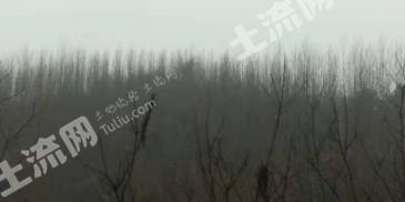 十堰郧西县 150亩 有林地 经营权转让