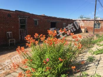 齐齐哈尔铁锋区 8.5亩 菜园 经营权转让