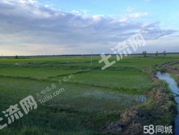 松原扶余市195亩水田经营权转让