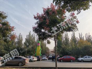 聊城高唐县休闲生态园121亩经营权入股