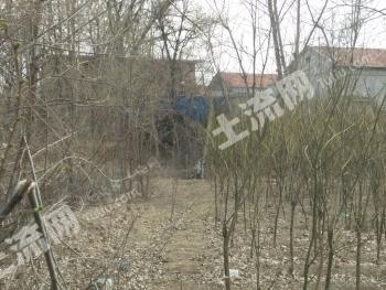 廊坊永清县 18亩 荒地 使用权出租