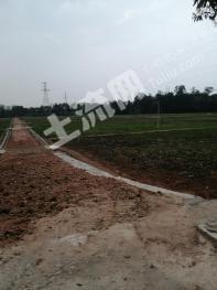 吉安遂川县 1000亩 水田 经营权出租