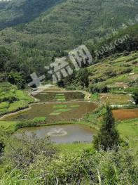 重庆万州区 24亩 坑塘水面 经营权转让