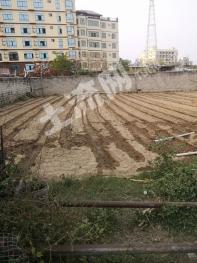 海南樂東黎族自治縣580平米宅基地使用權(quán)出租