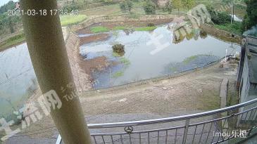 重庆永川区 2.5亩 坑塘水面 经营权出租